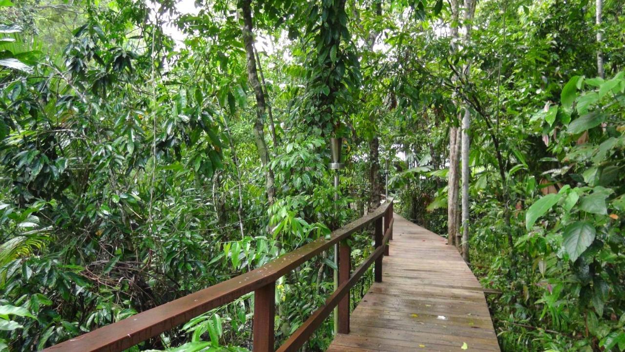 Heritage Lodge - In The Daintree Kültér fotó
