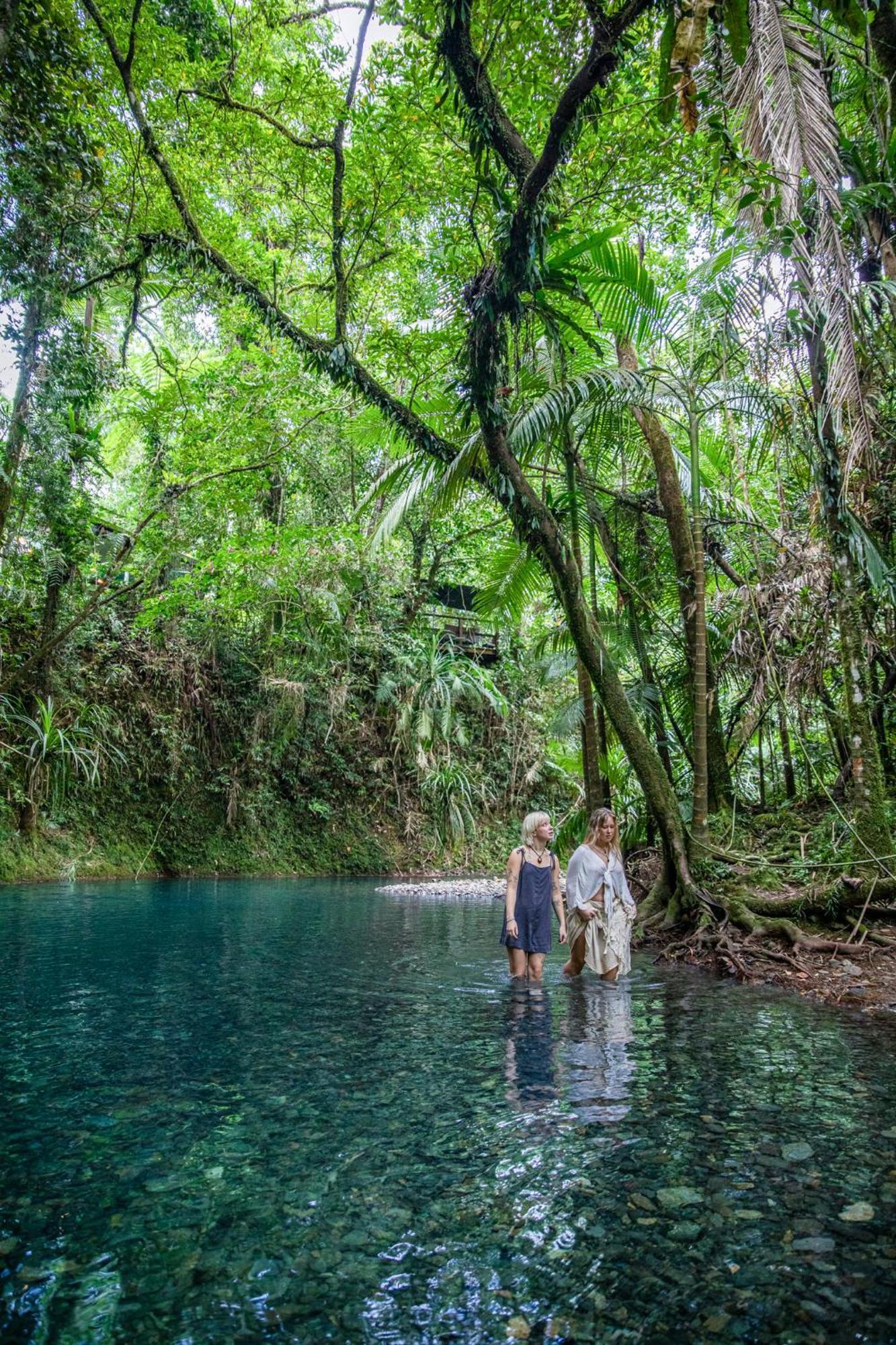 Heritage Lodge - In The Daintree Kültér fotó