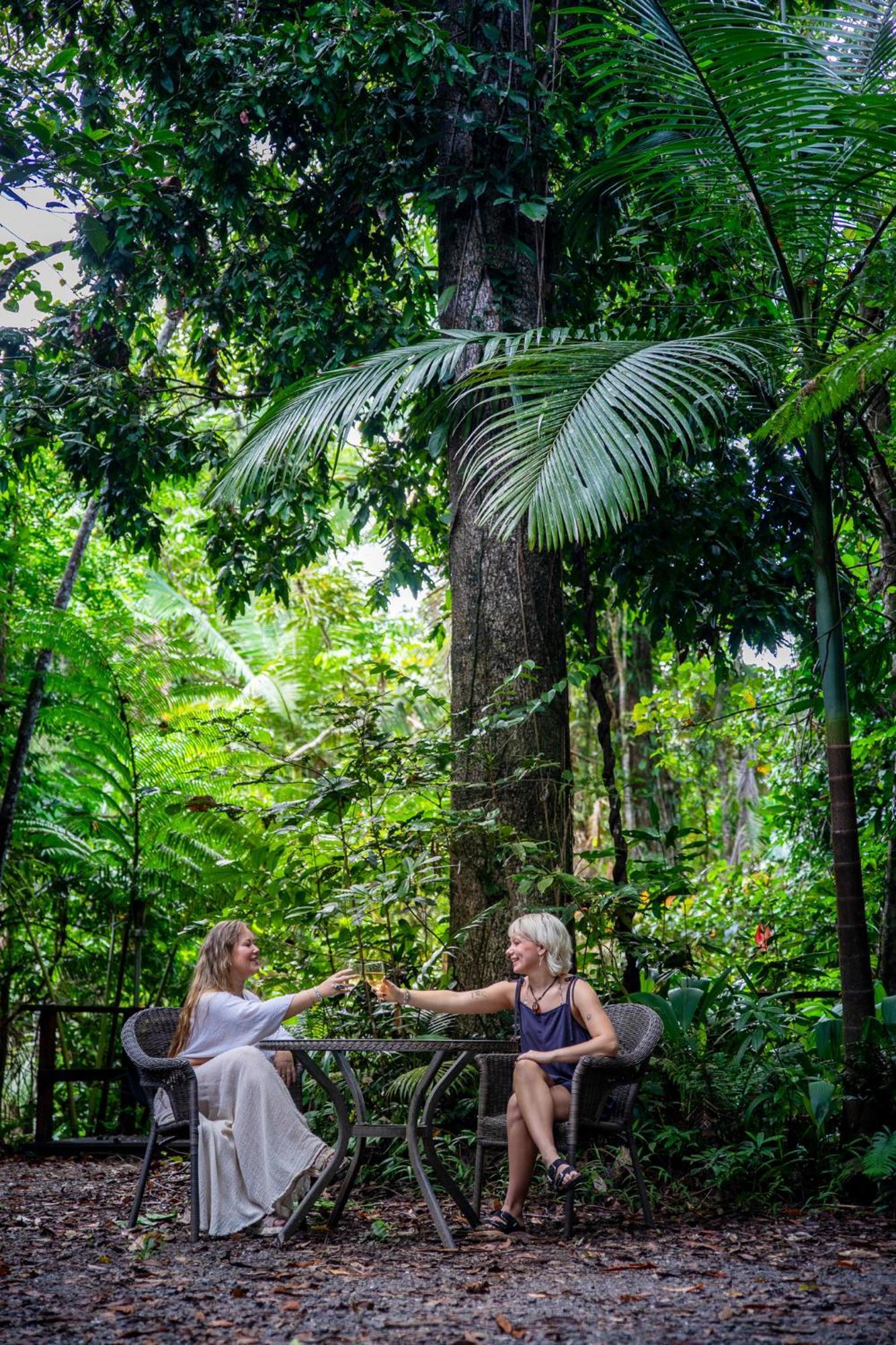Heritage Lodge - In The Daintree Kültér fotó