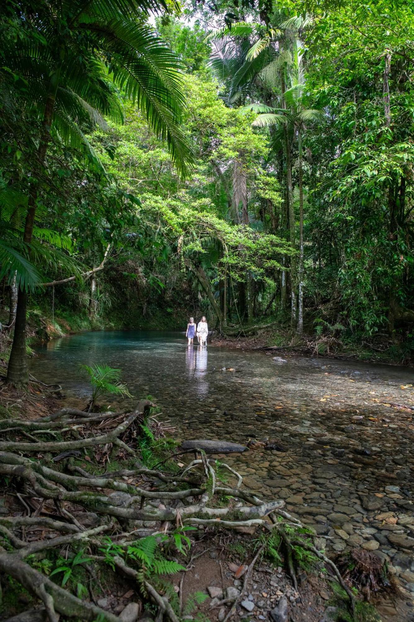Heritage Lodge - In The Daintree Kültér fotó