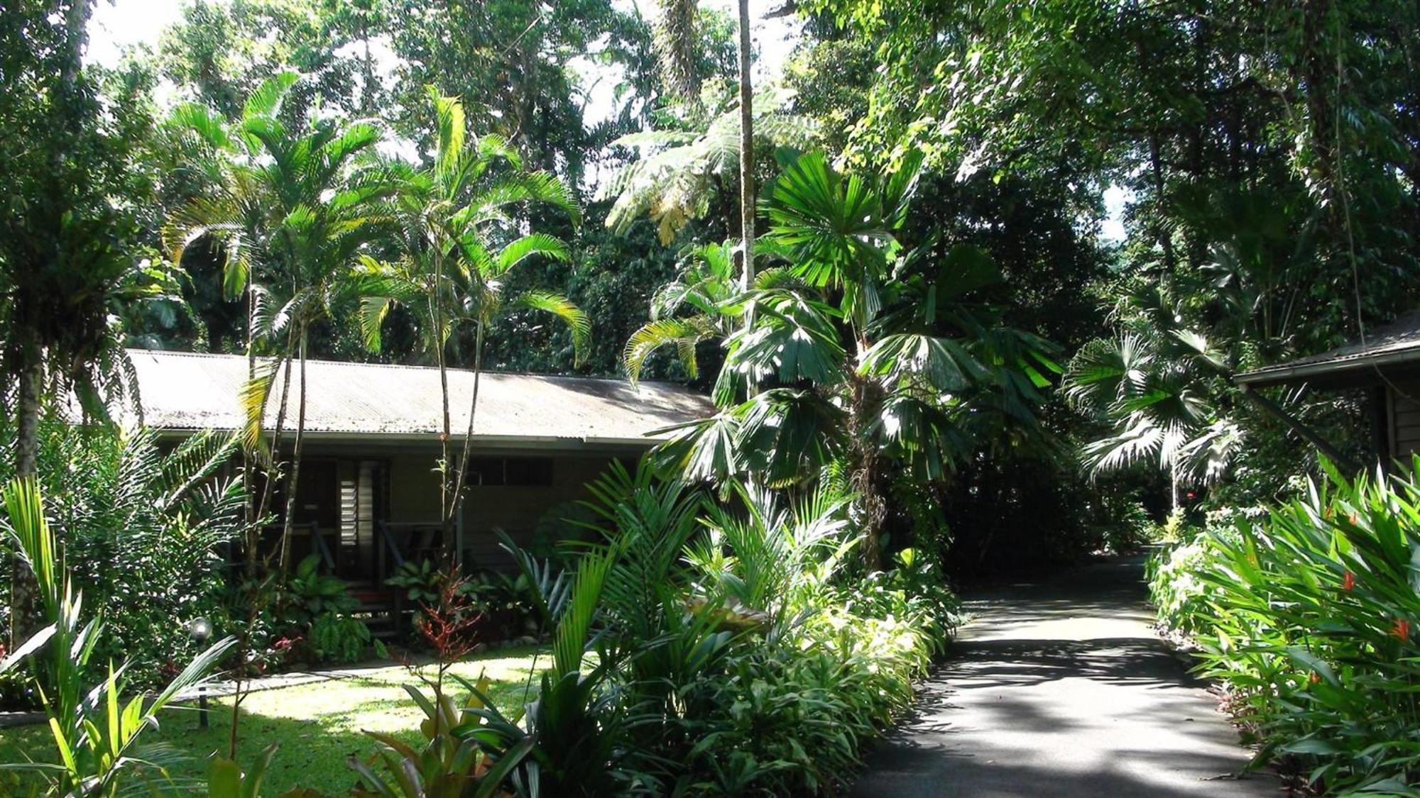 Heritage Lodge - In The Daintree Kültér fotó