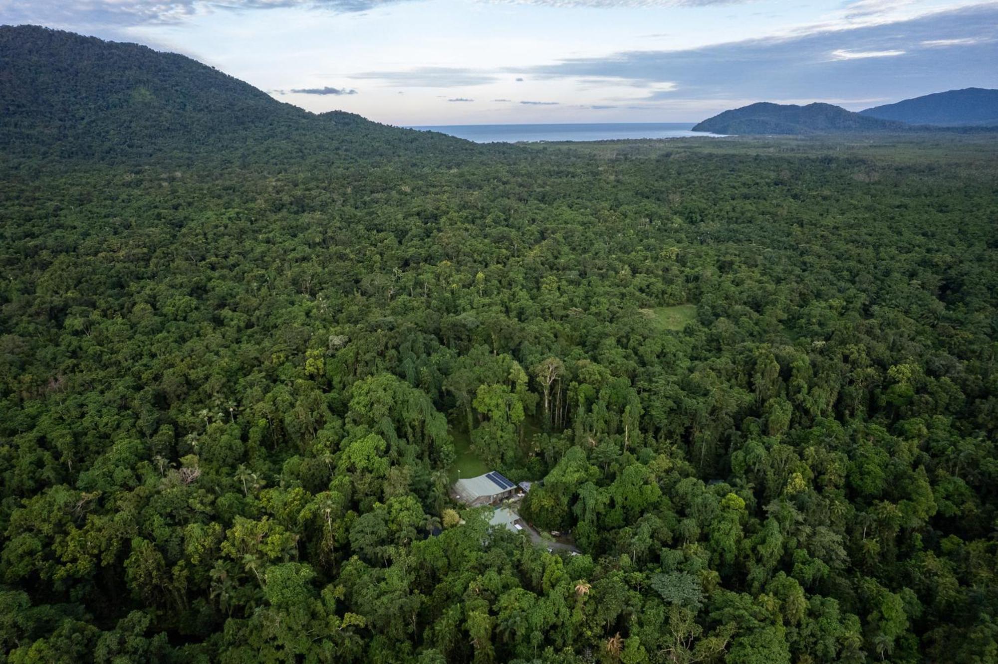 Heritage Lodge - In The Daintree Kültér fotó