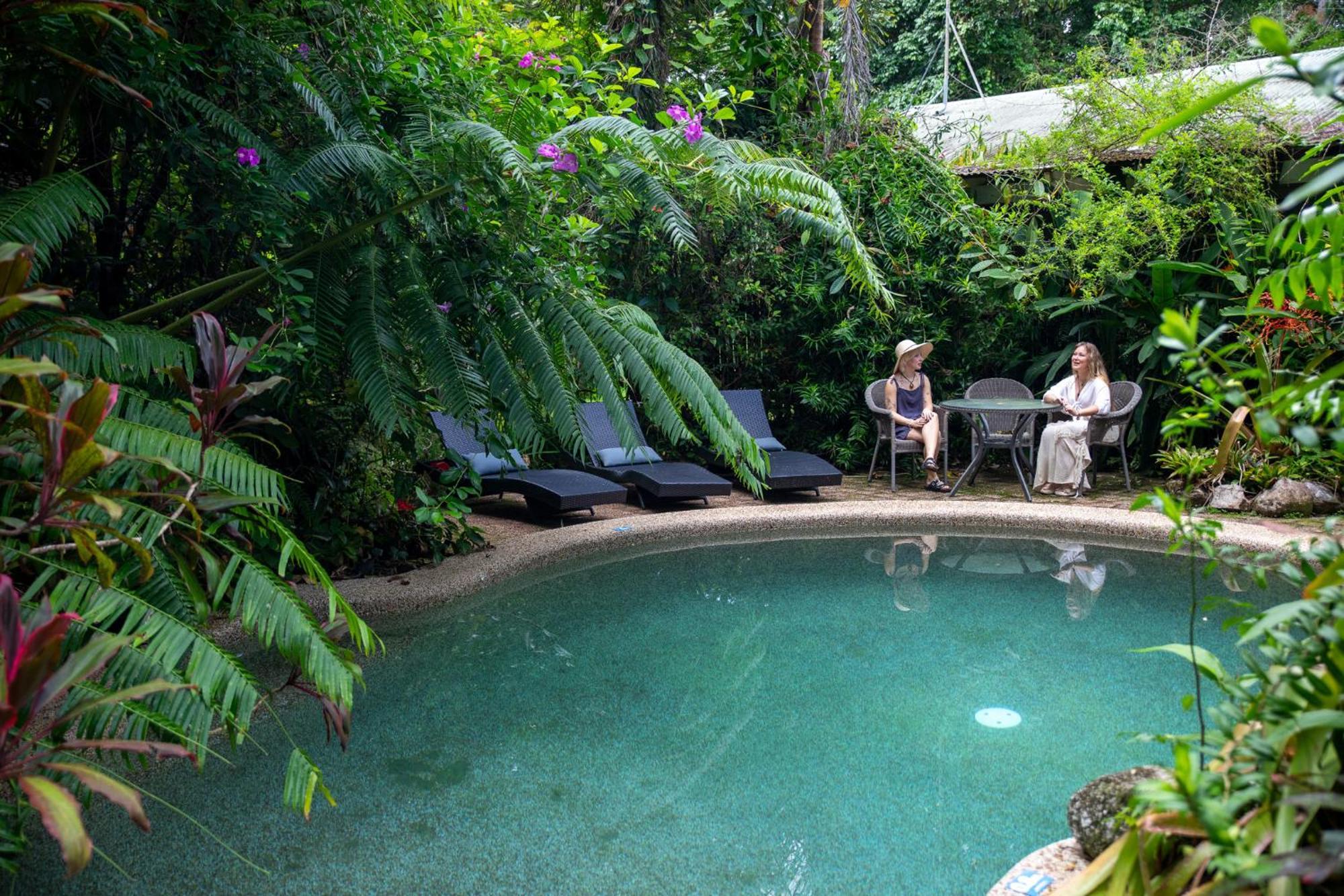 Heritage Lodge - In The Daintree Kültér fotó