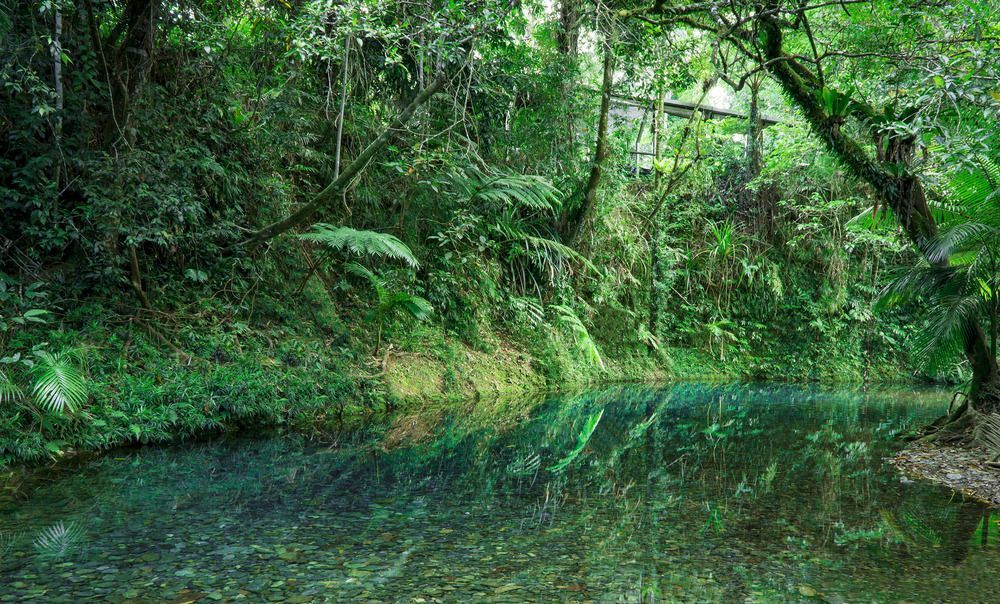 Heritage Lodge - In The Daintree Kültér fotó