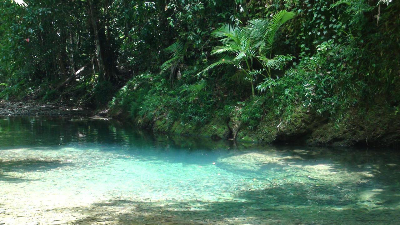 Heritage Lodge - In The Daintree Kültér fotó