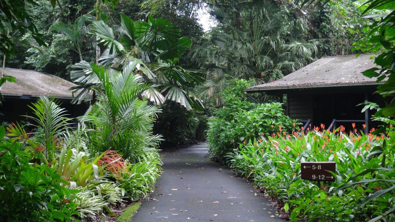 Heritage Lodge - In The Daintree Kültér fotó