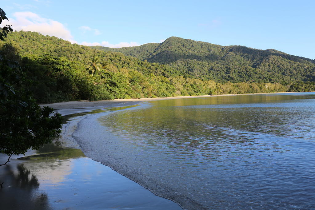Heritage Lodge - In The Daintree Kültér fotó